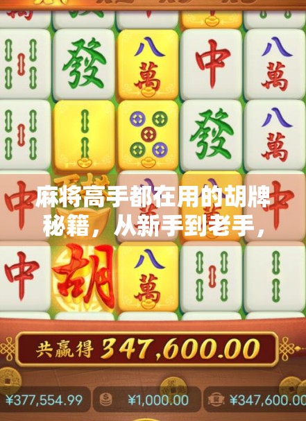 麻将高手都在用的胡牌秘籍,从新手到老手,掌握这5个技巧轻松上分!