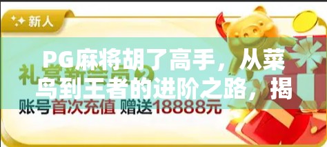 PG麻将胡了高手，从菜鸟到王者的进阶之路，揭秘隐藏技巧与心理博弈