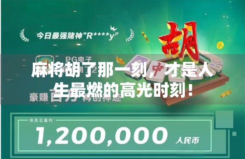 麻将胡了那一刻，才是人生最燃的高光时刻！