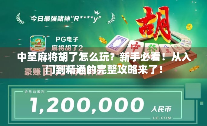 中至麻将胡了怎么玩?新手必看!从入门到精通的完整攻略来了!