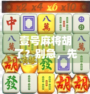 壹号麻将胡了?别急,先搞清哪里进才是关键! 壹号麻将胡了?别急,先搞清哪里进才是关键!