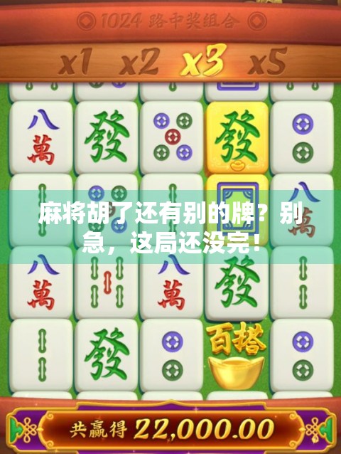 麻将胡了还有别的牌？别急，这局还没完！
