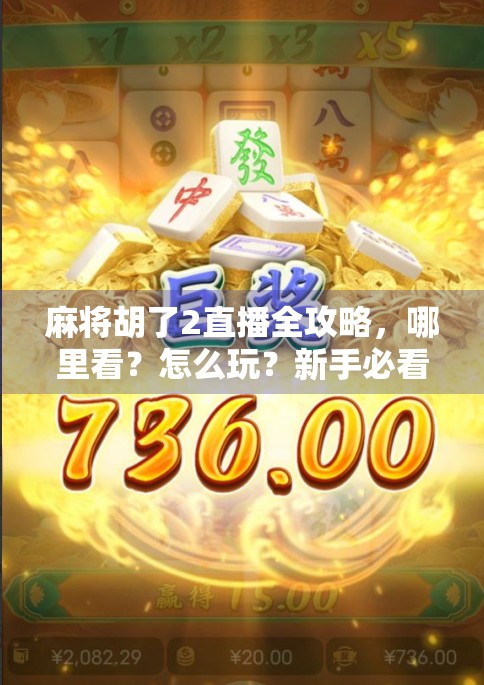 麻将胡了2直播全攻略，哪里看？怎么玩？新手必看！