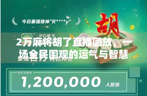 2万麻将胡了直播回放,一场全民围观的运气与智慧的狂欢盛宴 2万麻将胡了直播回放,一场全民围观的运气与智慧的狂欢盛宴