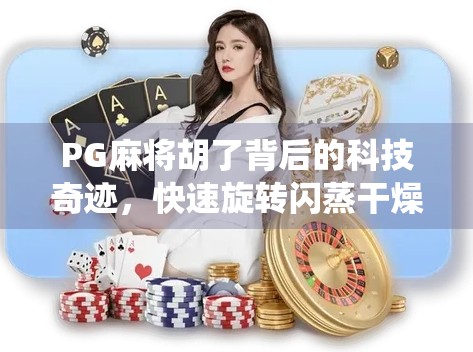 PG麻将胡了背后的科技奇迹,快速旋转闪蒸干燥机如何改变传统工艺?